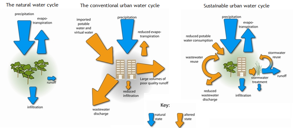 The natural water cycle, the conventional urban water cycle and the sustainable urban water cycle. Source: HEALTHY WATERWAYS 2011